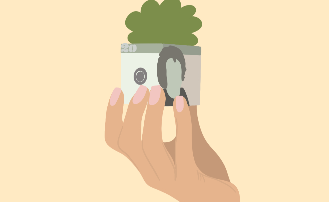 Illustration of a hand holding a succulent wrapped in money, smart money gift concept.